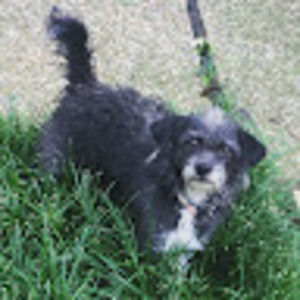 Meet your Posher, Kennedy